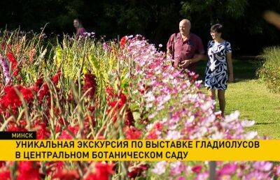 Уникальная экскурсия по выставке гладиолусов пройдет в Центральном ботаническом саду Минска