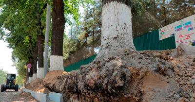 Прокуратура возбудила уголовное дело об умышленном повреждении деревьев в Ташкенте