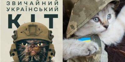 Егор Фирсов - Международный день кошек. Праздничная подборка историй спасения и видео от ВСУ - nv.ua - Украина