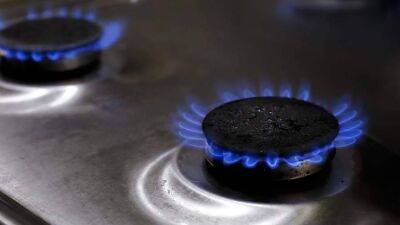 В Совфеде оценили заявление ЕС о наличии опасных примесей в газе из Британии