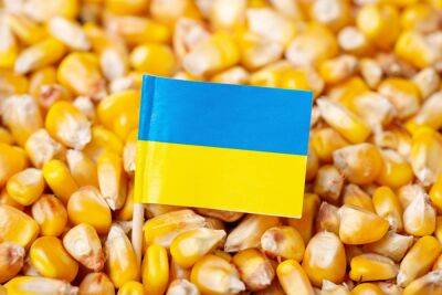 От первой партии украинского зерна отказался покупатель