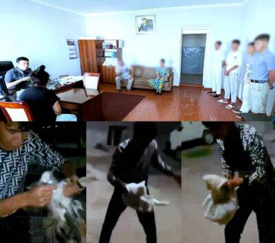 Родители подростков, которые издевались над котятами и щенком в Алмалыке, заплатят штраф