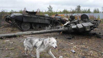 Российские потери в войне с Украиной: оценки из разных источников