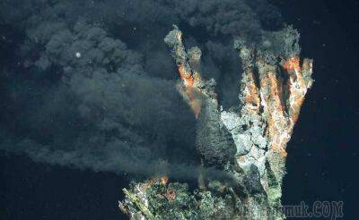 10 невероятных вещей, которые были обнаружены в океанских глубинах