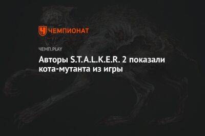Авторы S.T.A.L.K.E.R. 2 показали кота-мутанта из игры