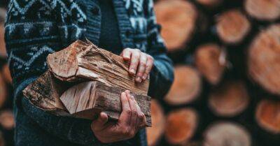 Латвийцы смогут получить компенсацию на дрова даже без чека на покупку