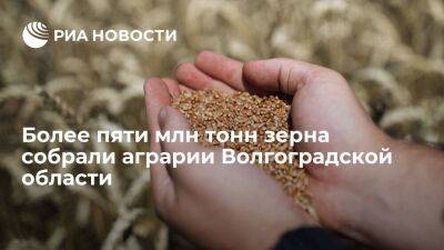 Более пяти млн тонн зерна собрали аграрии Волгоградской области