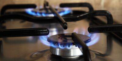 Украине нужно уменьшить использование газа домохозяйствами — Лана Зеркаль