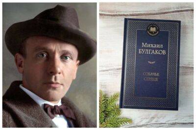 "Чем может быть полезно "Собачье сердце?": писатель рассказал о вреде Булгакова для украинцев