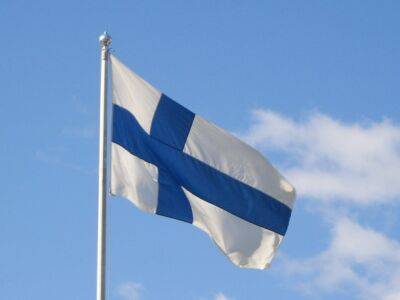 Правительство Финляндии рассматривает возможность введения виз для российских диссидентов