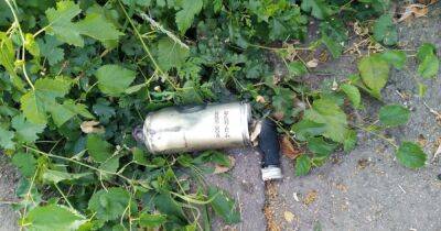 На Днепропетровщине от взрыва кассетного боеприпаса погиб 17-летний парень