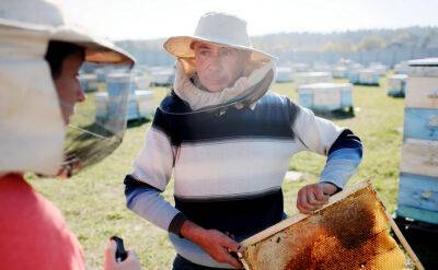 Россия не отнимет у Украины статус медовой страны. Как пчеловоды работают под обстрелами