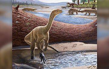 В Зимбабве обнаружили останки древнейшего динозавра Африки