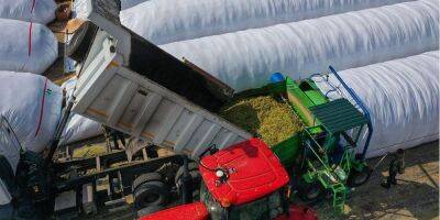 Для последнего зернышка. Украина скупила все одноразовые и мобильные зернохранилища на мировом рынке