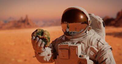 Астрономы рассказали, что случится с организмом человека, если он будет жить на Марсе
