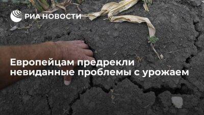 Экономист Черников: ЕС столкнется с проблемами в сельском хозяйстве из-за засухи и санкций