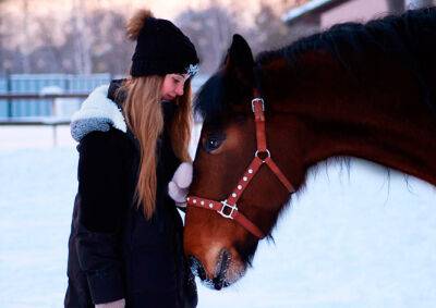 В России школьница выкупила списанного на убой полицейского коня