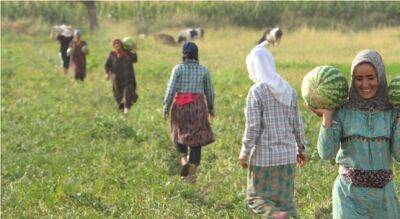 "Женское" село: 80% мужчин Хуррамзамина выехали на заработки