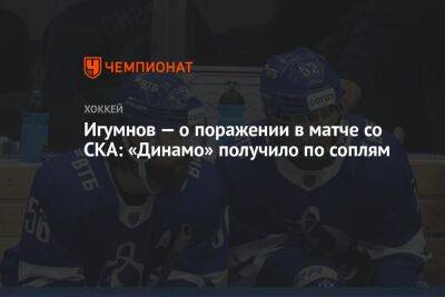 Игумнов — о поражении в матче со СКА: «Динамо» получило по соплям