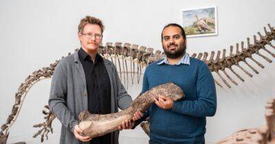 Ученые открыли новый вид динозавров: скелет 100 лет пролежал в музее (видео)