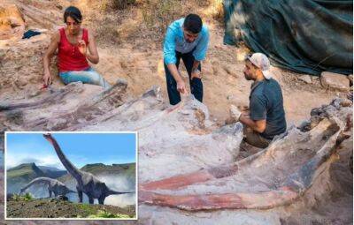 В Португалии в саду жилого дома нашли самый большой скелет динозавра в Европе