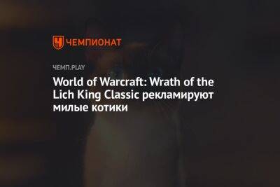 World of Warcraft: Wrath of the Lich King Classic рекламируют милые котики