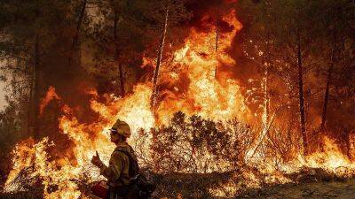 Новые лесные пожары в Калифорнии