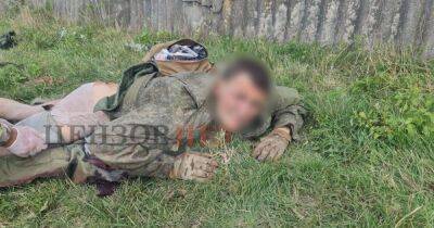 Украинские десантники захватили в плен подполковника ВС РФ в ходе контрнаступления (фото)