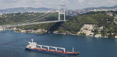 Морський експорт зерна з України: мільйони тонн та брехня Путіна