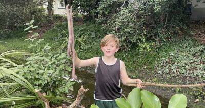 Длиной около 1 метра. В Новой Зеландии 9-летний школьник нашел гигантского червя (фото) - focus.ua - Украина - Новая Зеландия