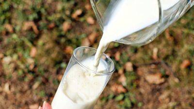 Назван продукт, который в сочетании с молоком лишает этот напиток полезных свойств