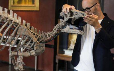 В немецком музее нашли новый вид динозавра (ВИДЕО)
