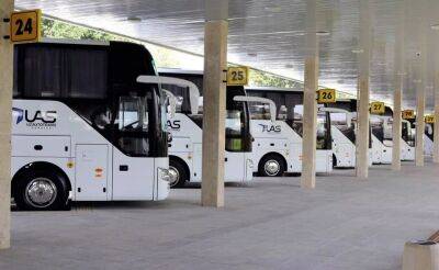 Автобусы между Ташкентом и Москвой стали курсировать ежедневно. Цены