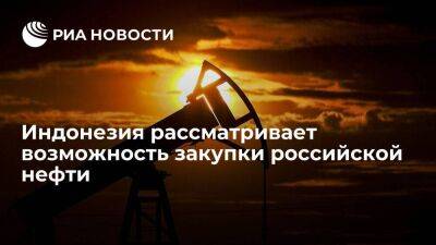 Джоко Видодо заявил, что Индонезия рассматривает возможность закупки российской нефти