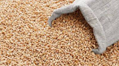 Франция и Румыния подпишут соглашение об упрощении экспорта украинского зерна