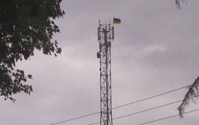 В одном из сел Сватовского района установили флаг Украины (фото)