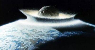 Сгорели заживо. На Земле удар древнего астероида превратил живых существ в уголь
