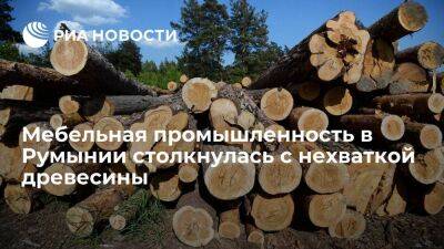 Мебельная промышленность в Румынии находится на грани краха из-за нехватки древесины