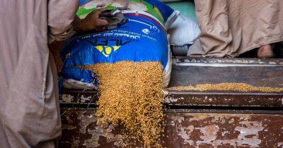 Продовольственный шок: МВФ расширит помощь бедным странам из-за роста цен на еду, – Reuters