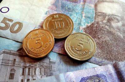 Украинские ФОП могут не платить налоги в Литве, но есть пару условий
