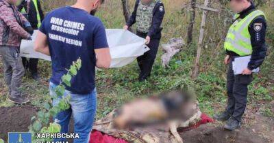 В освобожденном селе на Харьковщине нашли тела четверых замученных мирных