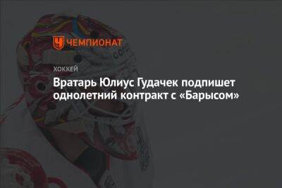 Вратарь Юлиус Гудачек подпишет однолетний контракт с «Барысом»