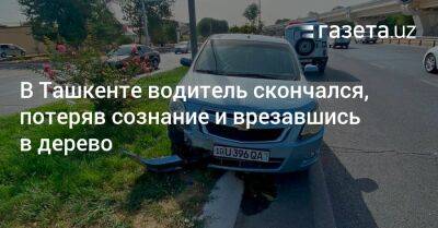 В Ташкенте водитель скончался, потеряв сознание и врезавшись в дерево