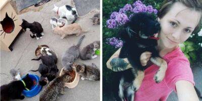 «Ева, Мурчик, Моня, Боня, Юрчик…». В Кировоградской области местная жительница приютила более трех десятков брошенных кошек