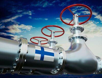 Финляндия вдвое сократила потребление природного газа