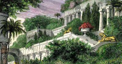 Чудо света Висячие сады Вавилона: как они выглядели, что там росло и где их искать