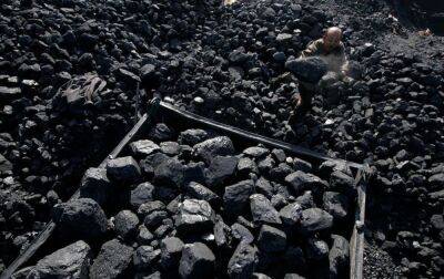 Сжигание коксующегося угля может привести к выходу из строя котлов электростанций, - УХИН