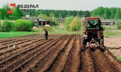 Нижегородский фермер выращивает арбузы и китайскую капусту