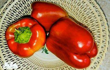 Носатые помидоры и картошка-сердечко: белорусы показали необычный урожай