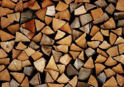 Для зимы в Украине заготовлено 7 миллионов кубометров дров – Гетманцев